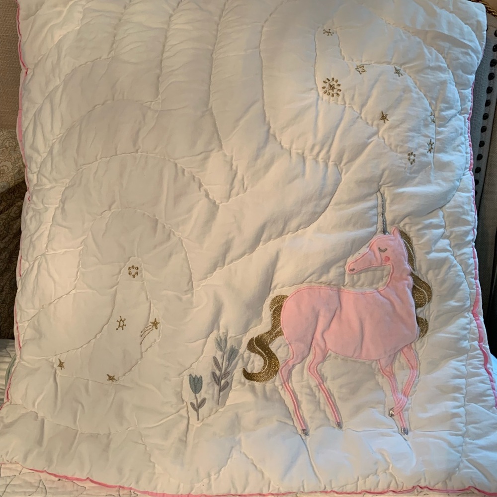 Pottery Barn Euro shams